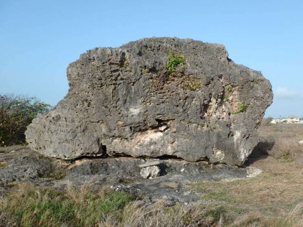 Bottom-up boulder - Bottom Bay Barbados