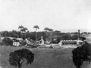 Barbados Sugar Estate with Windmill and Factory